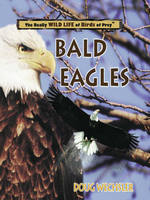 Title details for Bald Eagles by Doug Wechsler - Available